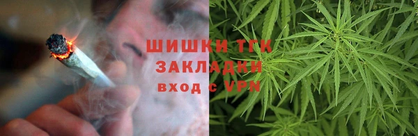 бошки Снежинск