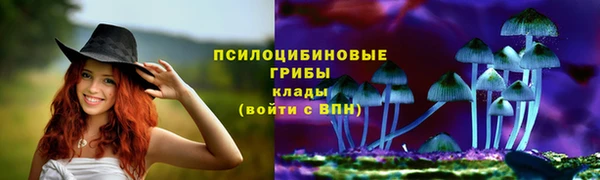 spice Армянск