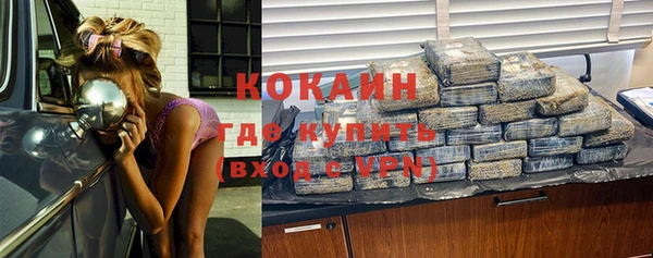бошки Снежинск